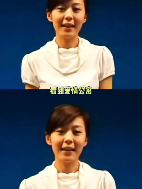 爱情公寓陪伴了我的整个青春