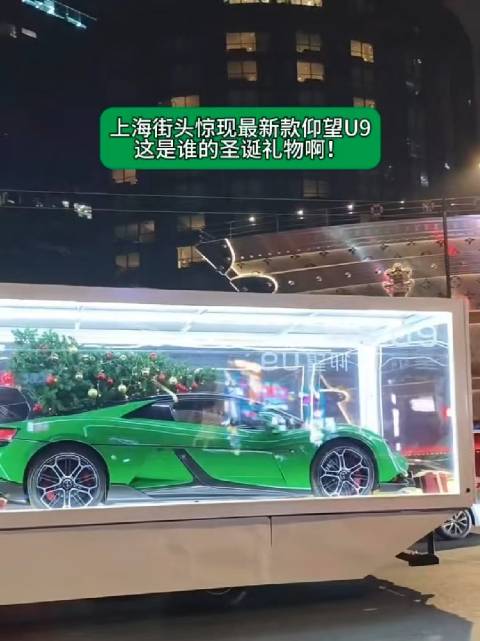 上海街头的“极境森林” 很特别！