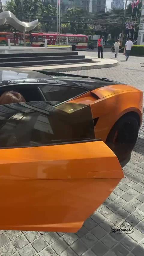 谁家老板开着兰博基尼来送薯条啊 （应该是合伙朋友开的车） cr.logo