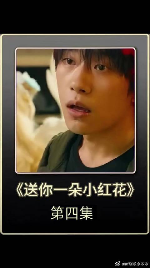 少年身患绝症，却遇到了一生挚爱，笑着看，最后哭了！