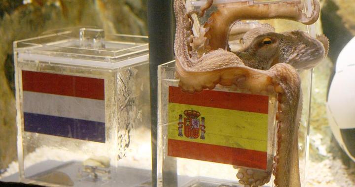 追光丨AI预测世界杯，会比人类更准吗？