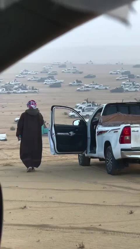 中东市场黄金美元丰田并称三大硬通货，皮卡车型主导需求