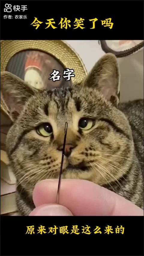 微博之夜亮点纷呈，明星云集红毯秀、舞台表演精彩纷呈