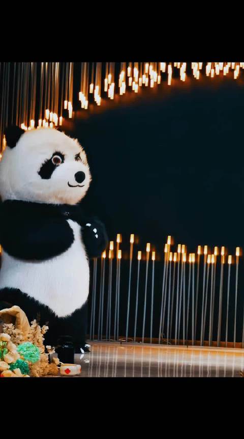 元旦将至熊猫宝宝舞台献舞预热