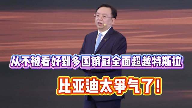 比亚迪2025年11国销量超特斯拉，出口激增313.4%