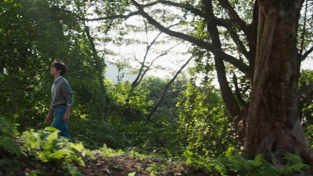 易烊千玺2026定制营养方案发布，细节诠释成长密钥