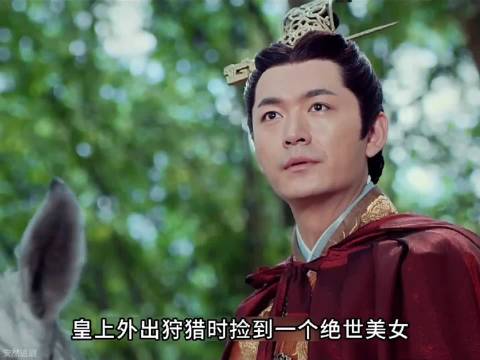 皇上外出狩猎捡到一个绝世美女，结果遭皇后嫉妒被逼坠崖 王丽坤 凤凰无双