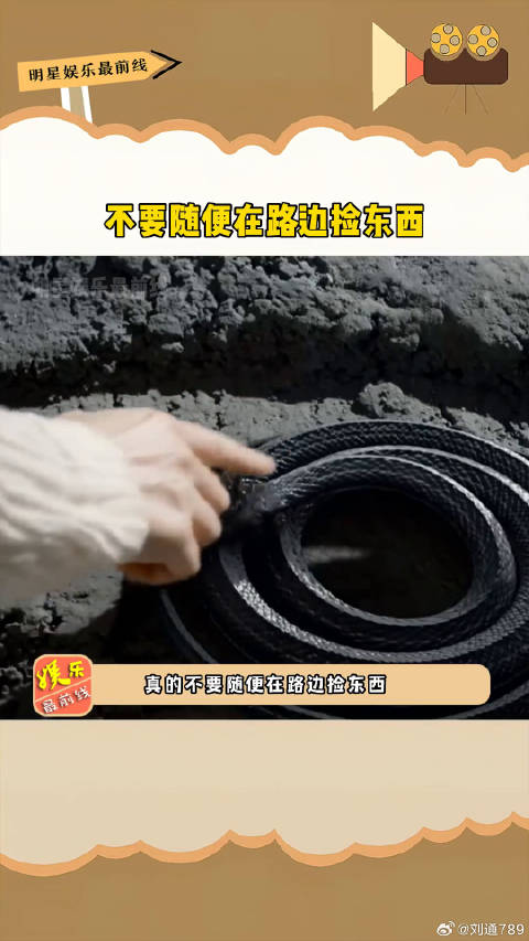 路边捡拾虫蛇男子后果严重，多部影视剧引以为戒