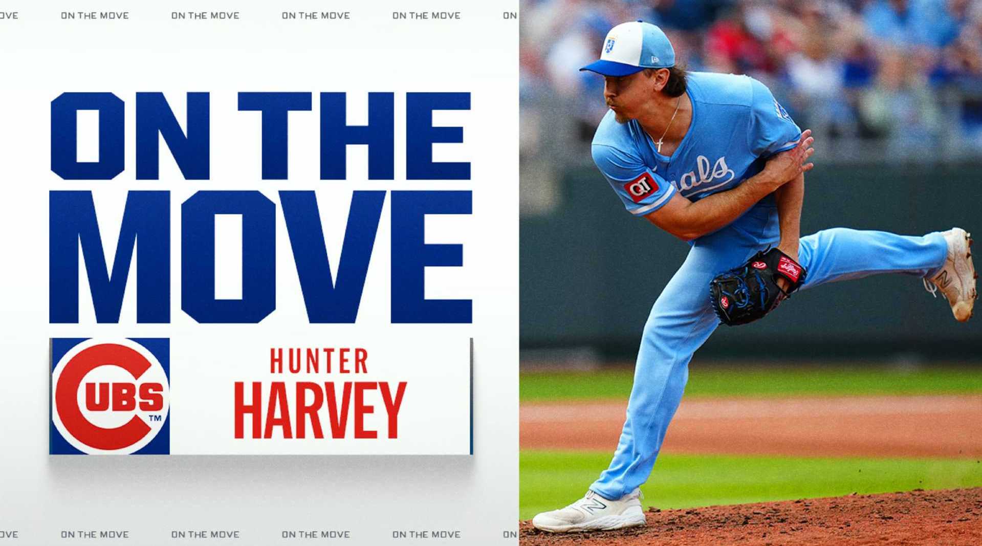 小熊签约右投哈维，待体检后官宣