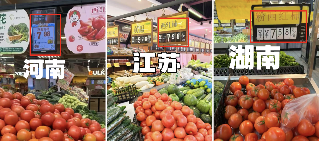 图片来源：中国蔬菜杂志