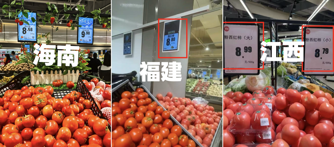 图片来源：中国蔬菜杂志