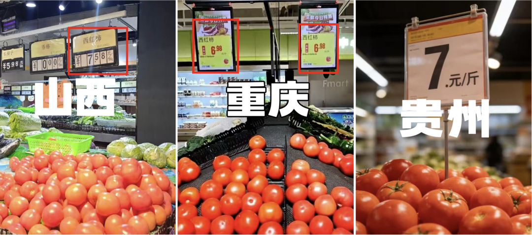 图片来源：中国蔬菜杂志