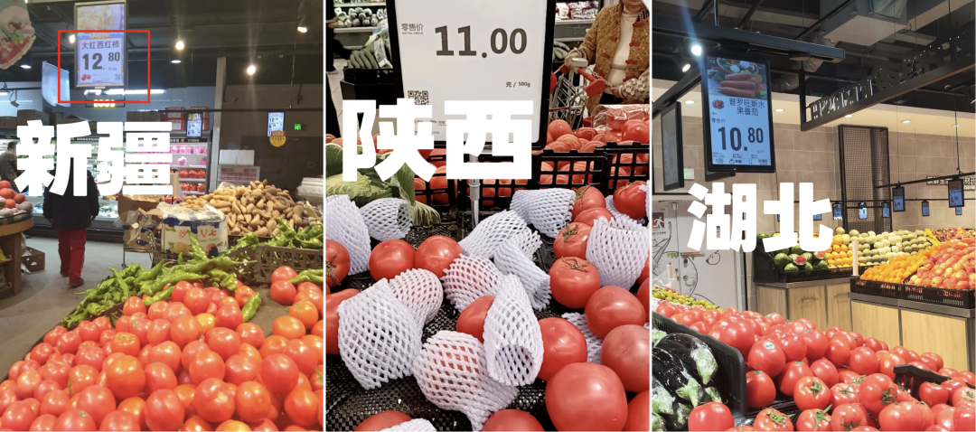 图片来源：中国蔬菜杂志