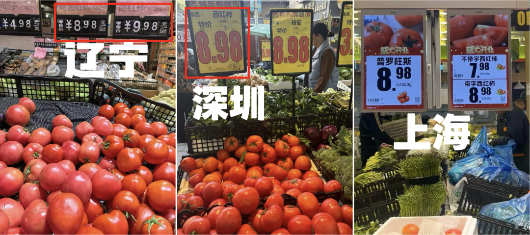 图片来源：中国蔬菜杂志