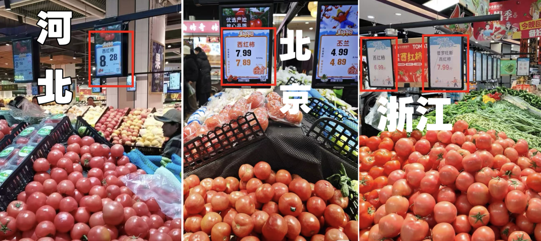 图片来源：中国蔬菜杂志