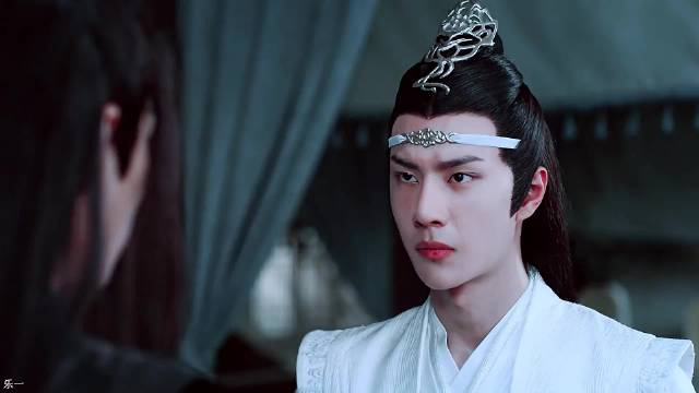 后来凡是能伤害魏婴的，蓝湛都不曾手下留情