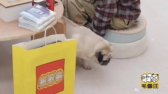 李雪琴理想型竟是张彬彬，谁注意旁边毛晓彤，醋意大发