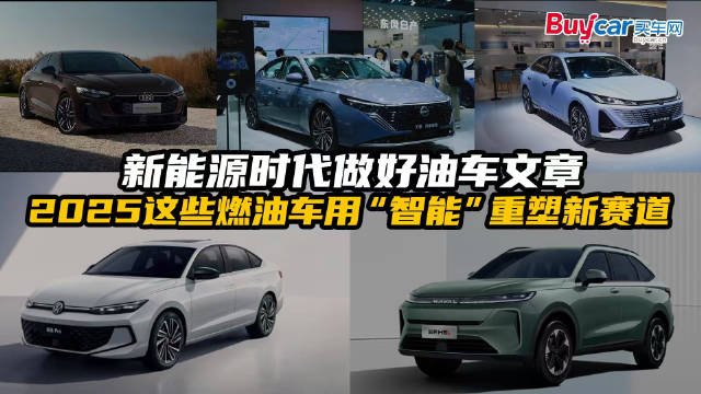 新能源时代做好油车文章，2025这些燃油车用“智能”重塑新赛道