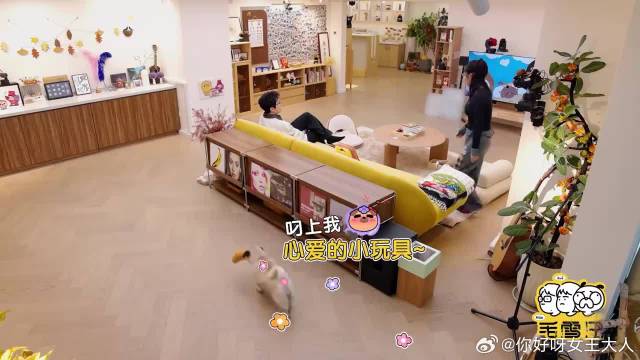 李雪琴走红毯超美，谁料自曝鞋走一半掉了，毛不易都笑晕