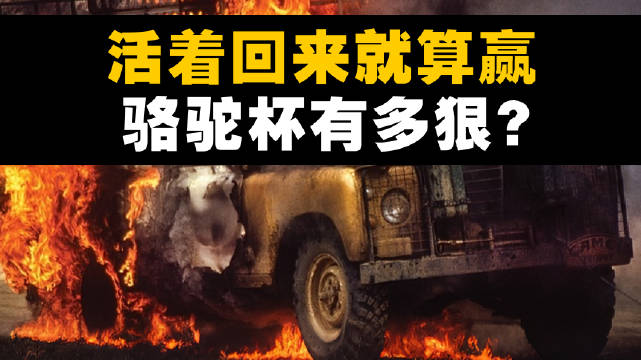 视频：活着回来就算赢！骆驼杯到底多狠？