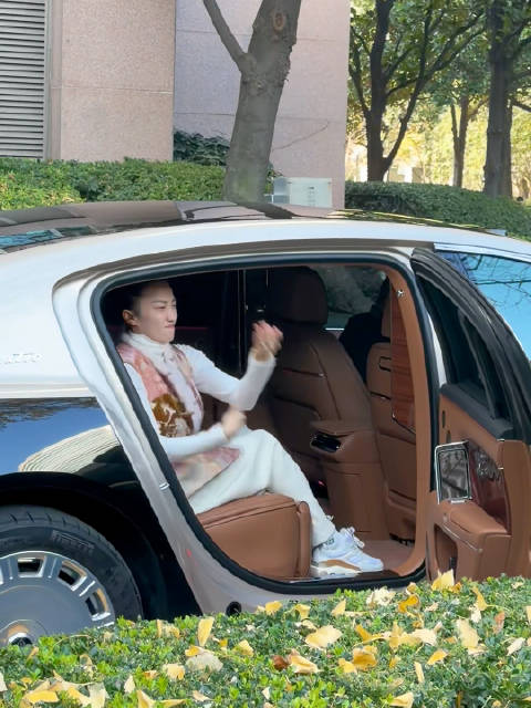 尊界S800如何手势关车门 魂都被你招进车里坐好了