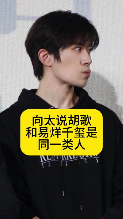 向太说胡歌和易烊千玺是同一类人