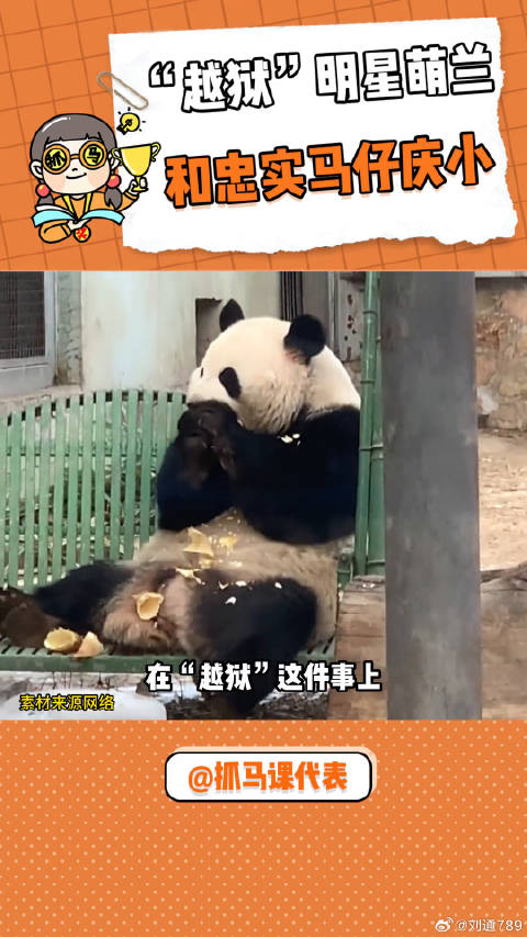 国宝不愧是国宝 微博VC计划