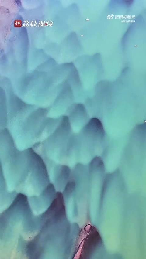 安徽池州长江候鸟翩跹，飞鸟入画美若动态千里江山图