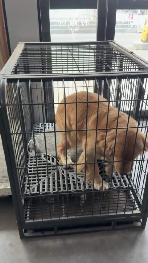 又见面了杜卡迪