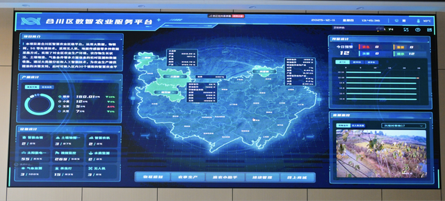 合川区数智农业服务平台。重庆电信供图