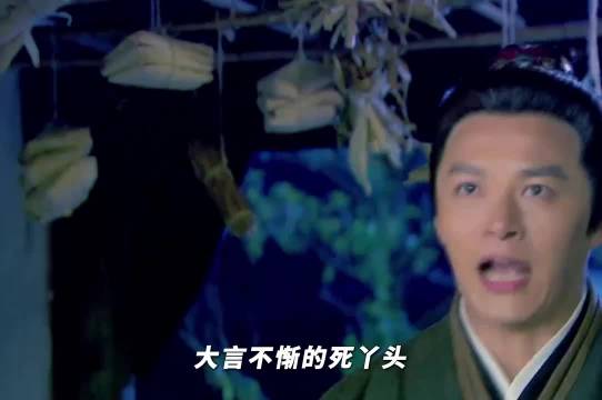 见过正气十足的，正到发邪的是头一次见，神雕侠侣 郑国霖 毛晓彤