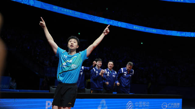 2025中国体育坚守与新生，马龙苏炳添拼搏汪顺徐嘉余常青