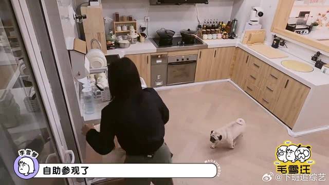 毛不易这么有钱？北京四环豪宅曝光，大到老板龙丹妮震惊