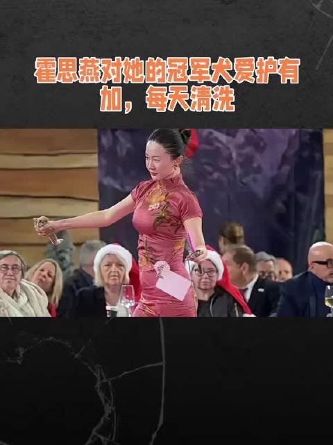 霍思燕对她的冠军犬爱护有加，每天清洗