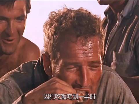 他是最能坚持的囚犯，即便越狱失败无数次，他也会重新再来《铁窗喋血》