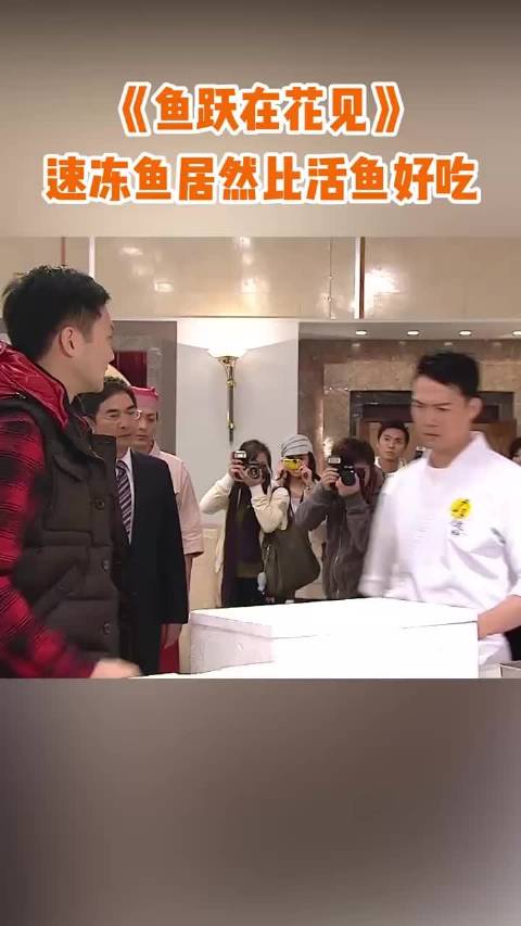活鱼竟输速冻鱼？这波冷知识我服了…… 鱼跃在花见:张智霖、谢天华、胡杏儿