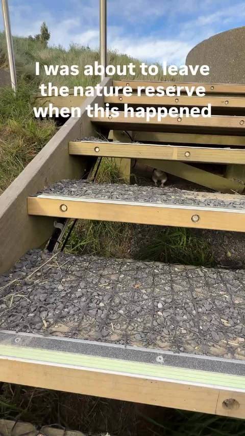 暗处有狙击手 cr.jasminefinney