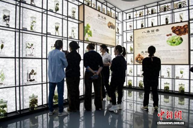 ���Ǹ۹���ҽѧ������������ͳҽҩչ��(����ͼ)������ǿ ��