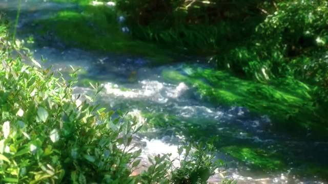 网易云音乐热评引共鸣：爱而不得应放手