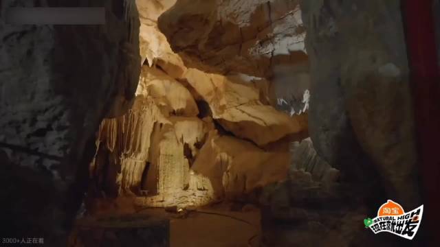 白敬亭金晨被广西菜辣到，沈腾打包汤带走，王安宇架子鼓少儿八级