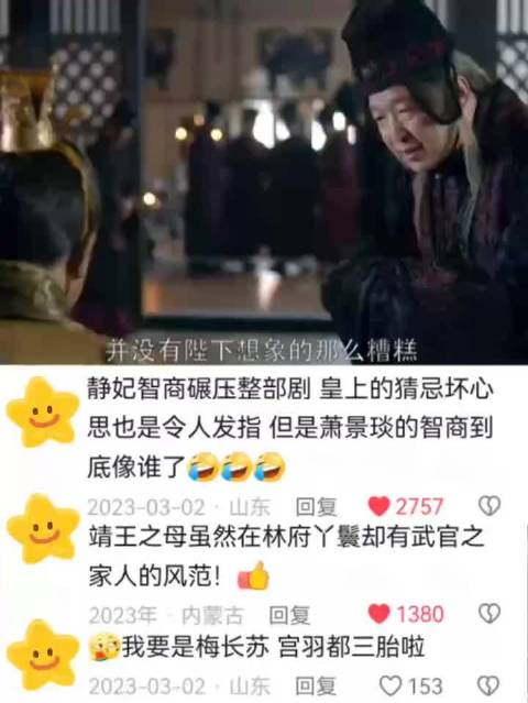 静妃临危不乱，指挥有序，彰显大家风范 琅琊榜