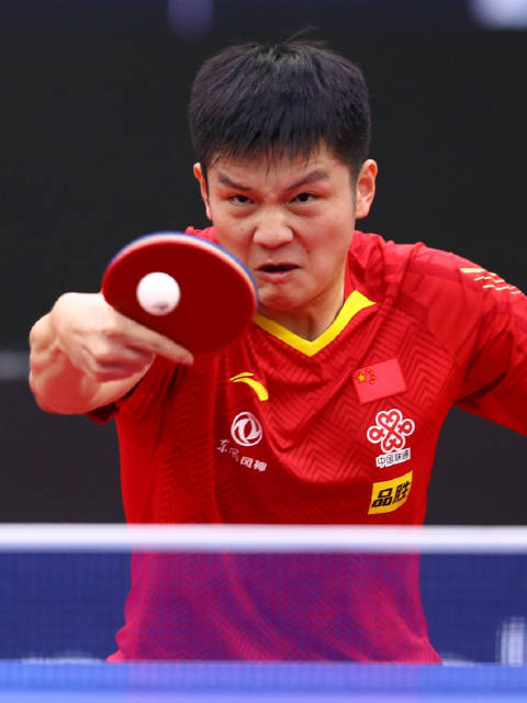 樊振东2025年精彩球集锦！大角度变线秀翻全场，邓亚萍直呼太强了