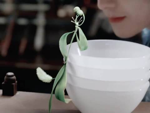 其实我感觉红烨一开始也是和小叶子一样活泼的少年郎