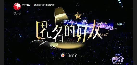 王安宇 东方卫视跨年晚会《匿名的好友》 好会唱的安宇 王安宇