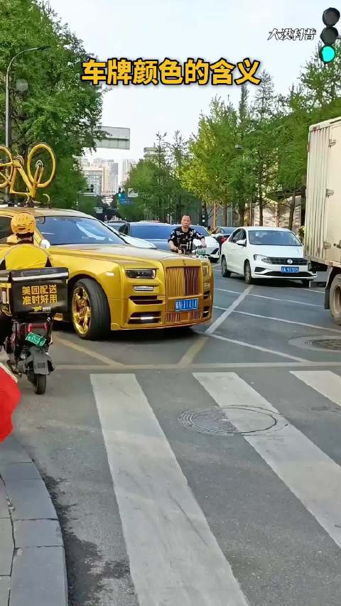 在路上你可以不认识库里南，但一定要认识这几种颜色的车牌！