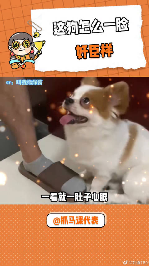 狗：妈妈你看我乖吧，一点不像你那个男朋友 狗狗