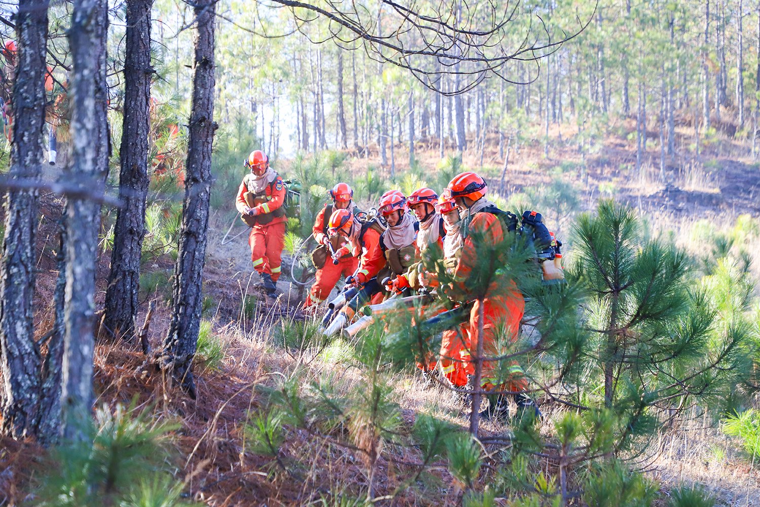 云南丽江森林消防组织灭火应急演练：调集216人，贴近实战