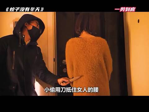 蚊子无冬季,反转频出结局意外