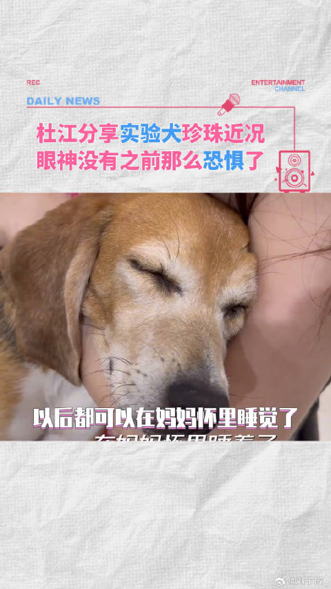 珍珠，以后都是阳光灿烂的日子了霍思燕微博VC计划