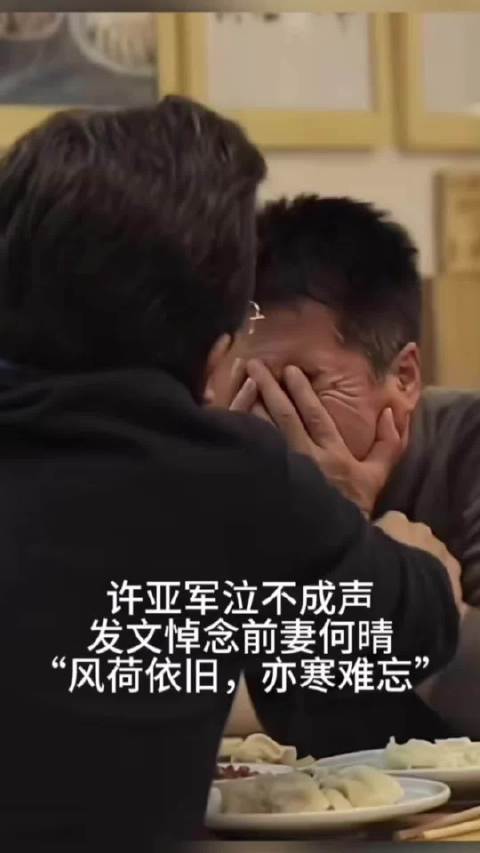 何晴的个人画像展示